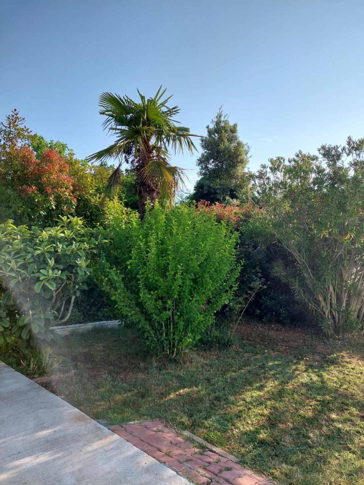 Appartement Soline Ada à Pjescana Uvala Extérieur photo